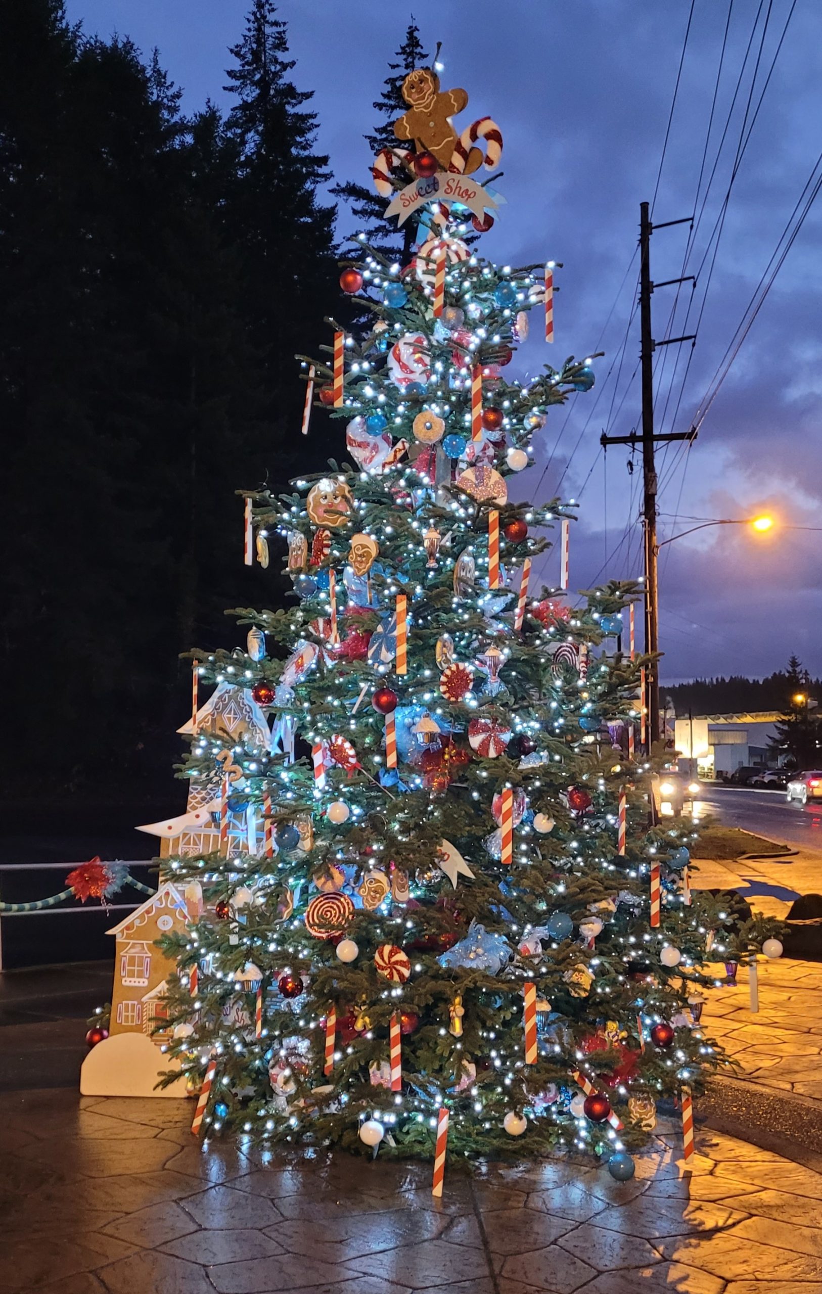 TOLEDO TREE LIGHTING CEREMONY, UMBRELLA PARADE & COMMUNITY PARTY